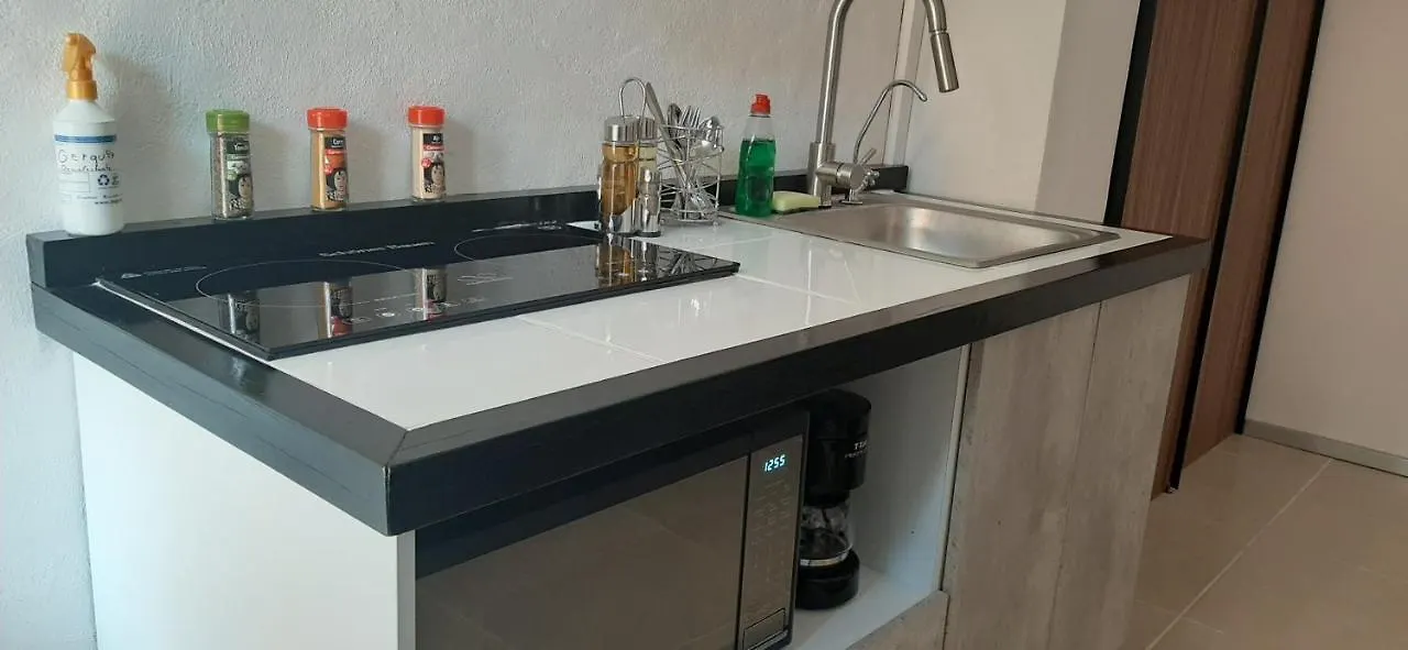 Apartments In Casa Iris Downtown, Luxury And Modern Coliving Space Queretaro