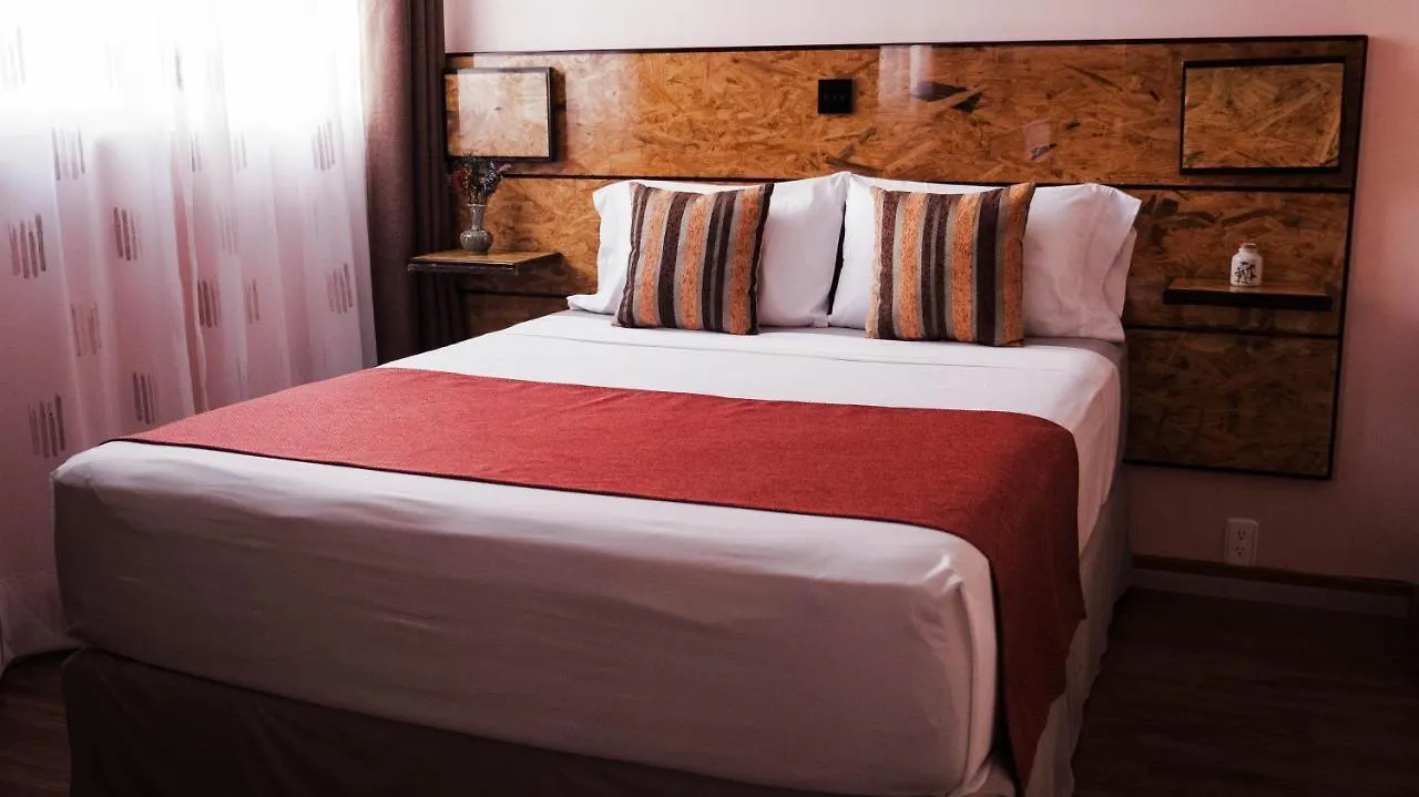 Apartments In Casa Iris Downtown, Luxury And Modern Coliving Space Queretaro Mexico