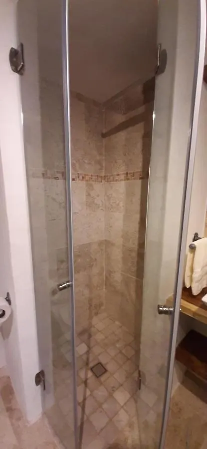 Apartments In Casa Iris Downtown, Luxury And Modern Coliving Space Queretaro Mexico
