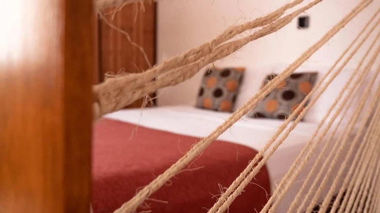 Apartments In Casa Iris Downtown, Luxury And Modern Coliving Space Queretaro
