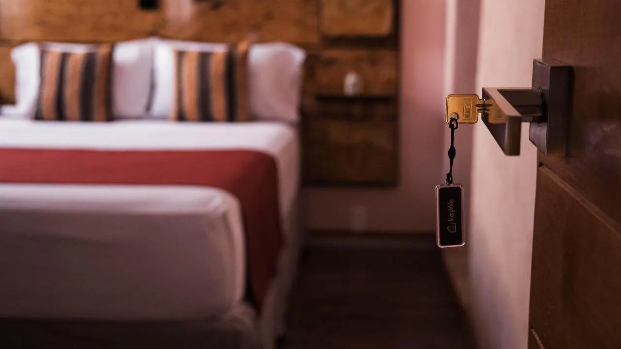 Apartments In Casa Iris Downtown, Luxury And Modern Coliving Space Queretaro