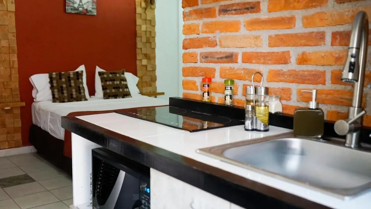 Apartments In Casa Iris Downtown, Luxury And Modern Coliving Space Queretaro Mexico