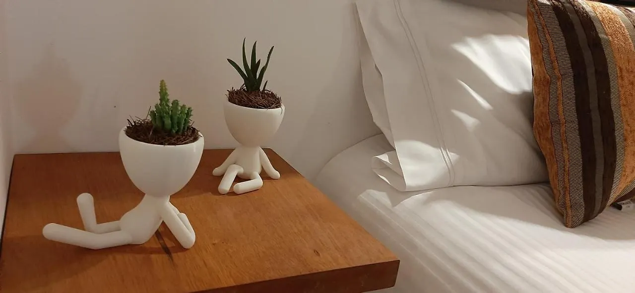 Apartments In Casa Iris Downtown, Luxury And Modern Coliving Space Queretaro